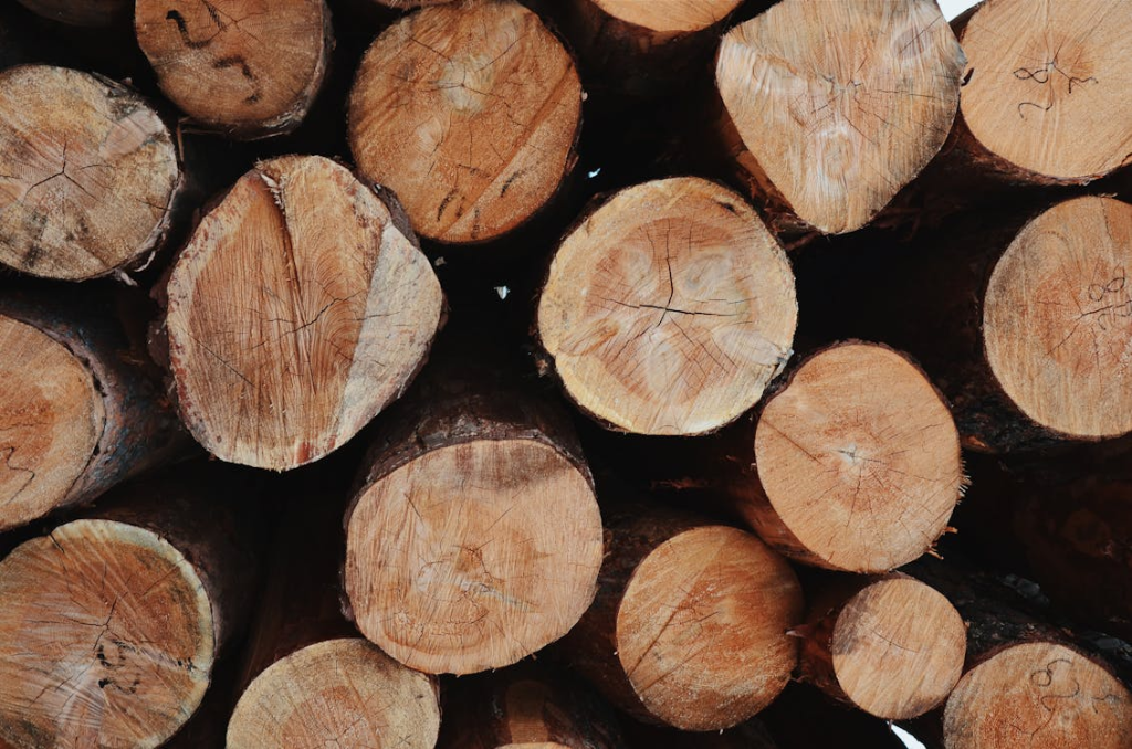 Maximizing Value: What Businesses Should Know Before Purchasing Timber 1 image 46